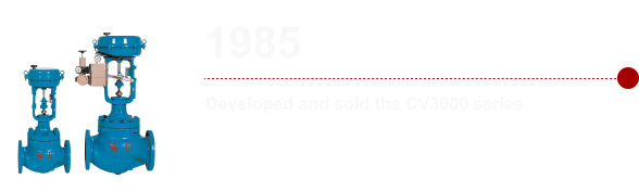 1985：Developed and sold the CV3000 series