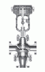 HDT