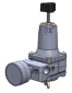 ra1b