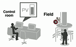 PLUG-IN-Valstaff