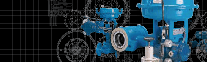 bnr-control-valve